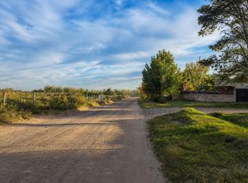 Terreno , El Carrizal · Terreno en Venta, Carrizal, Luján de Cuyo, Mendoza.