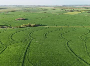 Campo · 3400000ha · Campo en Capitan Sarmiento