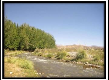 Campo · 100m² · 4 Ambientes · Estancia en Venta en Malargue, Potencial Productivo/minero
