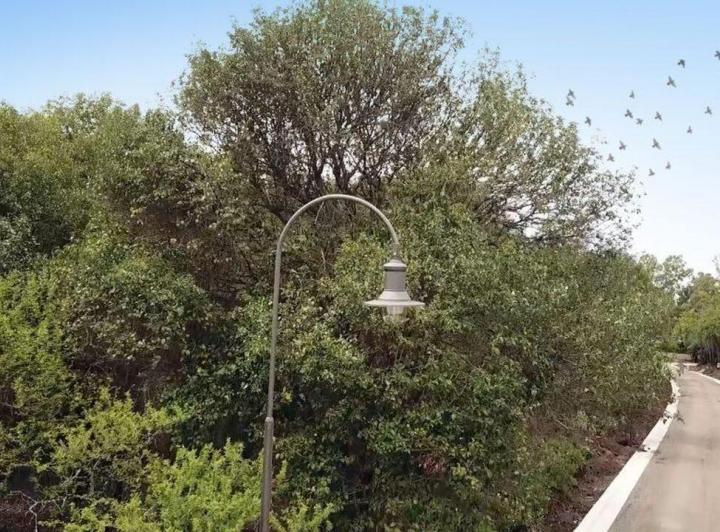 Terreno · 586m²