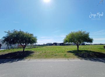 Foto Principal · Lote Venta Barrio San Sebastián - Area 1 - Interno - 893 m² #id 260
