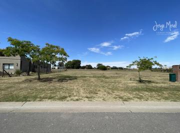Foto Principal · Lote Venta Barrio San Sebastián - Area 1 - Interno Al Verde - 1001 m² #id 212