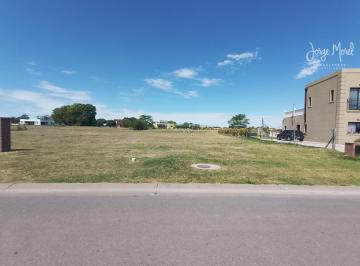 Foto Principal · Lote Venta Barrio San Sebastián - Area 1 - Interno Al Verde - 1001 m² #id 213