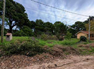 FLM-FLM-556_2 · Lote. | Vasco Núñes de Balboa