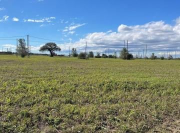 Terreno · 250m² · Terreno en Docta Central