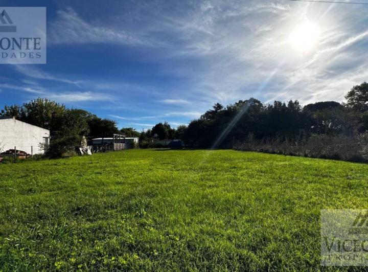 Terreno · 1000m²