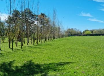Terreno · 4185m² · Terreno Venta 4185.53 m² Totales - Estancia Las Malvinas