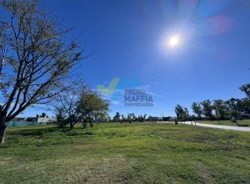 Terreno · 500m² · Venta de Lote Interno en Santa Sofia Pilar del Este