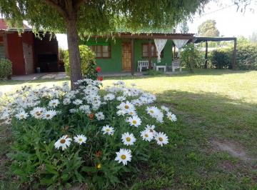 Quinta vacacional de 7 ambientes, San Rafael · Vendo Complejo de Cabañas