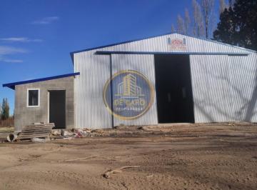 Bodega-Galpón · 240m² · Alquiler de Galpon Sobre Ruta 151