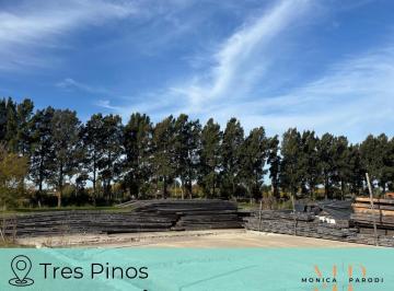 Terreno · 1125m² · Lote en Venta en Barrio Tres Pinos – Barrio Polo – 1125 m², Listo Para Construir