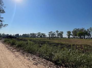 Terreno · 520m² · Terreno en Venta - 520 m² - Santa Sofía, Pilar del Este