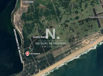 Foto1 · 10 Padrones a La Venta en El Caracol Rocha 18640 m² Oportunidad!