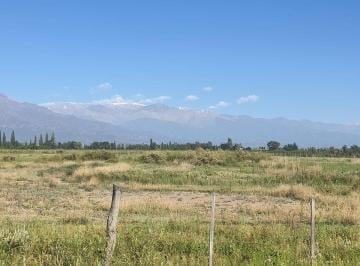 Campo · 3ha · Campo 25000 m² en Venta en Altamira Valle de Uco