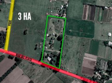 Campo · 30000m² · Campo en Venta - 3ha - General Rodriguez