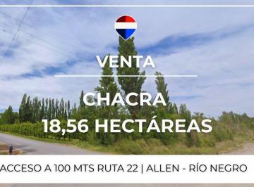 Campo · 19ha · Venta Chacra 18,56 Ha - Allen, Rio Negro