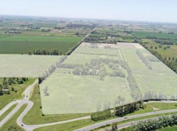 Terreno · 6000m² · Terreno en Venta - 120 Hectáreas - San Andrés de Giles