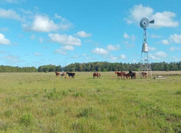 Campo · 25ha · Ha en Venta - Verónica - Punta Indio (25ha)