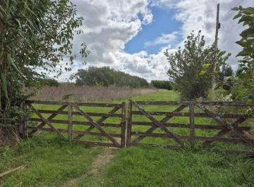 Campo · 14ha · Campo en Venta Arana de 14,38 Hectáreas