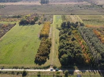 Campo · 17ha · Campo en Venta Arana de 17,42 Hectáreas