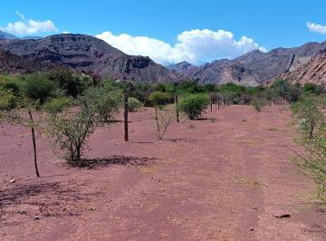 Edificio · 27300m² · Viñedo en Venta - 27.300 m² - Salta