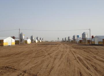 Campo · 60000m² · 15 Ambientes · Campo en Venta - 250.000 m² - Granja La Carmencita