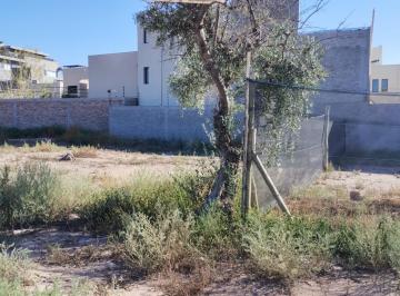 Terreno , Luján de Cuyo · Lote de 289 m² en Lujan de Cuyo Mendoza