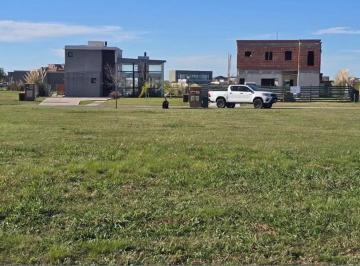 Terreno · 811m² · Terreno en Venta en San Sebastian - Area 7