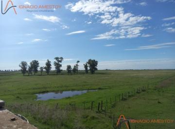 Campo · 7850000m² · Campo en Carlos Casares