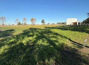 Terreno · 2200m² · Terreno en Venta Campos de Roca II