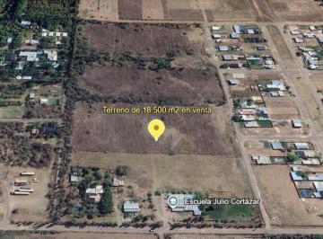 Campo · 18500m² · Chacra en Venta - General Fernandez Oro - 18.500 m²