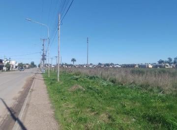 Terreno · 672m² · Terreno Venta Necochea Av 98 Entre 71 y 69 672 m Escriturado Luz Gas Sobre Av Comercial