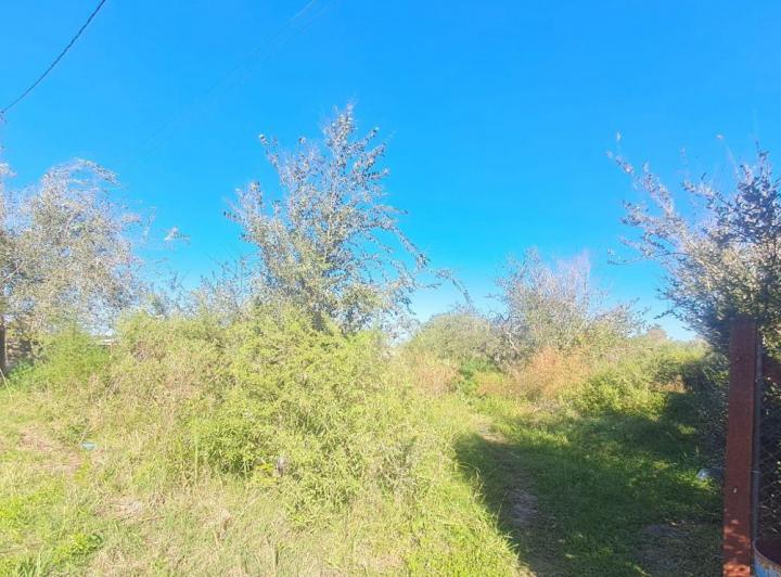 Terreno · 880m²