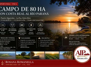 Campo · Campo - La Paz