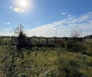 Terreno · 7700m² · Venta Lote Sobre Ruta 5 – Ideal Desarrollo o Inversión | Mercedes, Bs As – Acepta Permuta