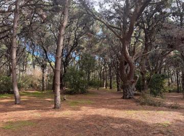Terreno , Costa del Este · Lote en Venta en Costa del Este