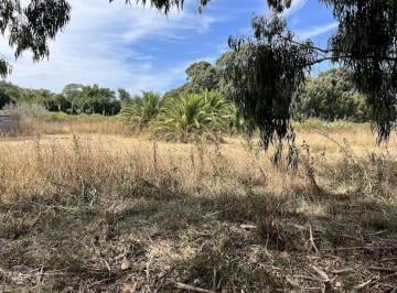 Terreno · 3430m² · Lote de 3.430 m² Jorge Newbery Apto Credito