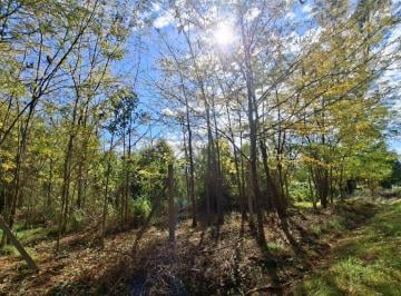 Terreno · 2200m² · Dos Terrenos de 2200 m² en Venta en Marcos Paz