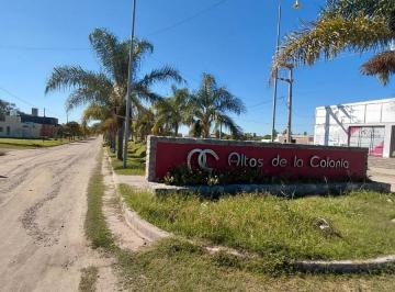 Terreno · 350m² · Venta Lote en Altos de La Colonia