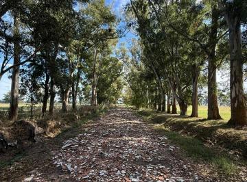 Terreno · 637m² · Oportunidad Lote de 637 m²