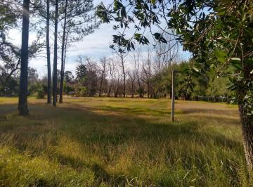 Terreno · 1000m² · Terreno - C. U. b. E