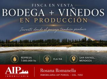 Campo · 4 Ambientes · Finca - San Rafael