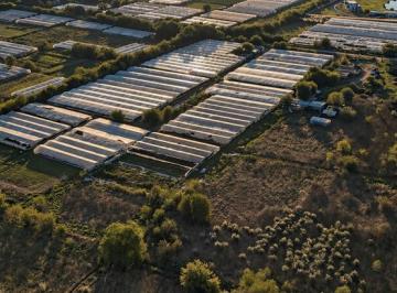 Terreno · 61666m² · Terreno en Venta City Bell 6 Hectáreas Oportunidad Desarrollo