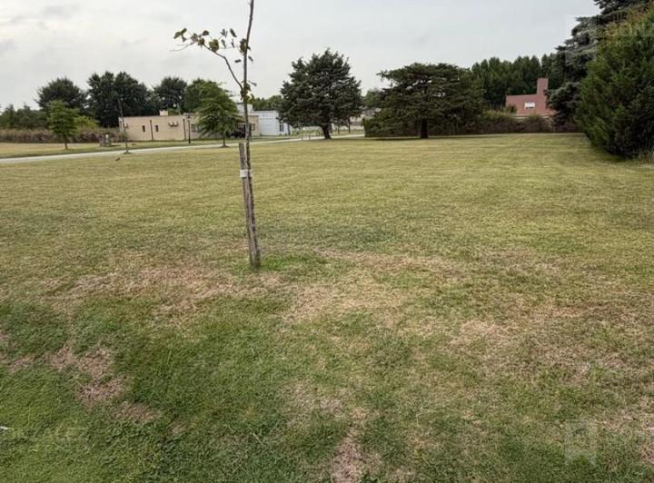 Terreno · 1612m²