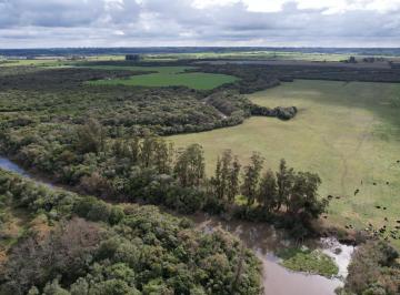 Campo · 150000ha · Chacra con Costa en Venta