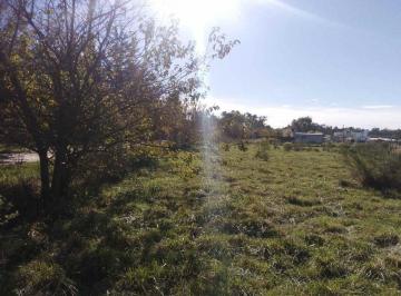 Terreno · 420m² · Lote en Venta Brandsen con Escritura