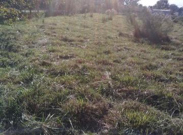 Terreno · 391m² · Lote en Venta Brandsen Entorno Natural