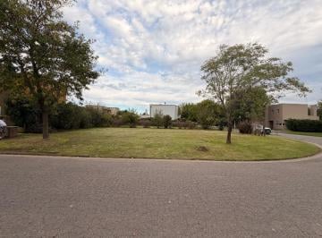 Terreno · 388m² · Lote Central en La Cañada de Pilar, Los Robles con Servicios Ya Tramitados