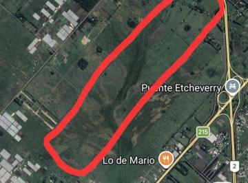 Campo · 1430000m² · 140 Has en Excelente Ubicación!