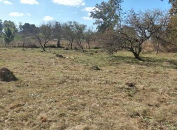 Terreno · 1100m² · Venta Terreno en Rincon